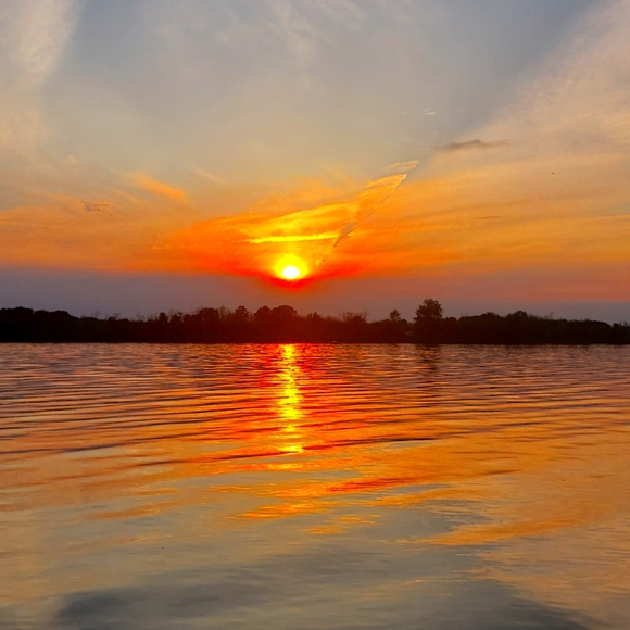 Meet your Posher, Posh - Picture 1 of 2